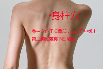 身柱穴位位置图 身柱穴位位置图