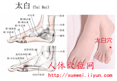 太白穴的准确位置图 太白穴的准确位置图