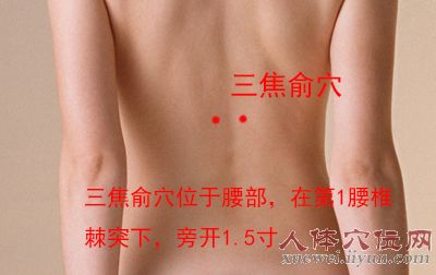 三焦俞穴位位置图