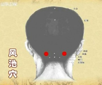 治疗头痛的穴位:风池穴位图