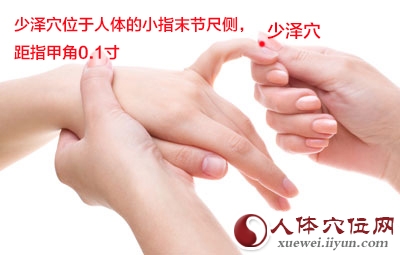 少泽穴的准确位置图