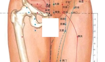 中医常用的男性人体穴位挂图大全
