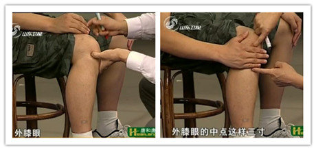 足三里穴的位置图