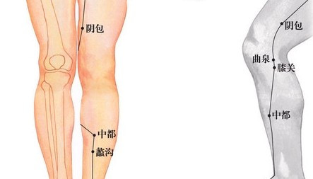 膝关穴的准确位置图