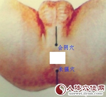 长强穴位置