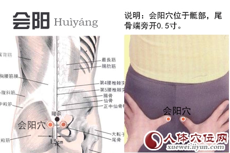 会阳穴