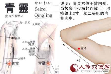 青灵穴的准确位置图