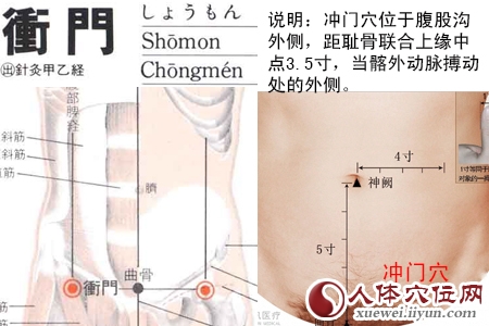 冲门穴的准确位置图
