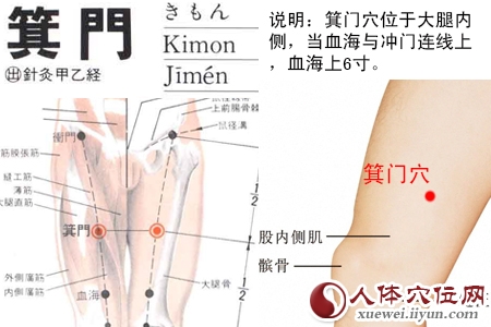箕门穴的准确位置图