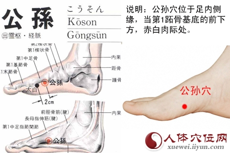 公孙穴的准确位置图