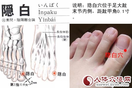 隐白穴的准确位置图