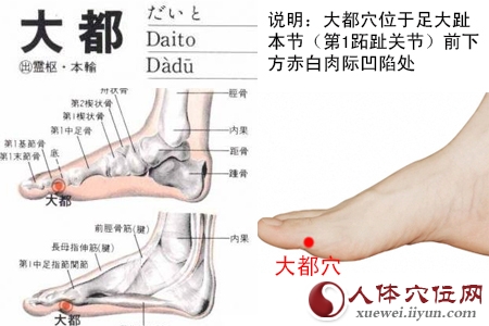 大都穴的准确位置图