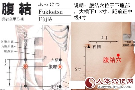 腹结穴的准确位置图