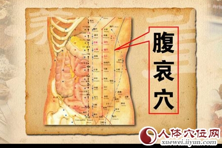 腹哀穴的准确位置图