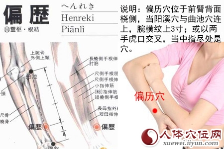 偏历穴的准确位置图