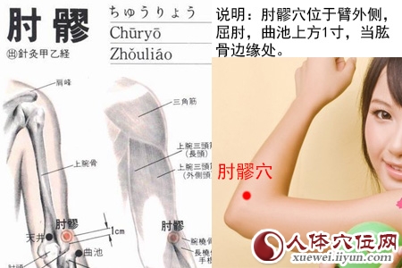 肘髎穴的准确位置图