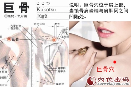 巨骨穴的准确位置图