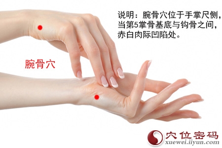 腕骨穴的准确位置图