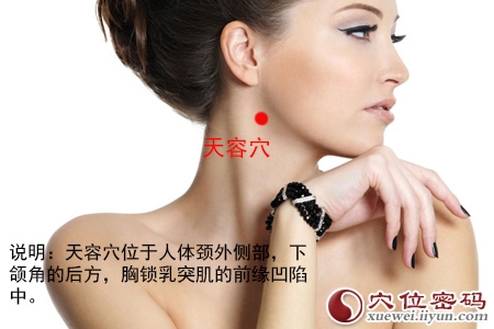 天容穴的准确位置图