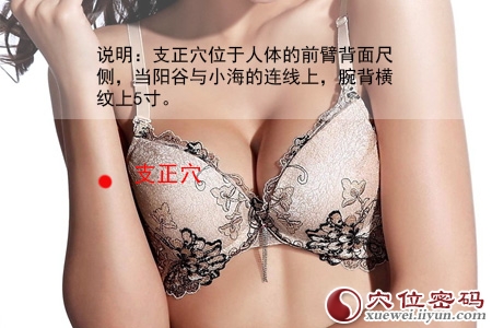 支正穴的准确位置图