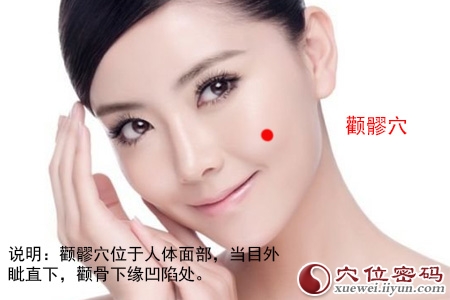 颧髎穴的准确位置图