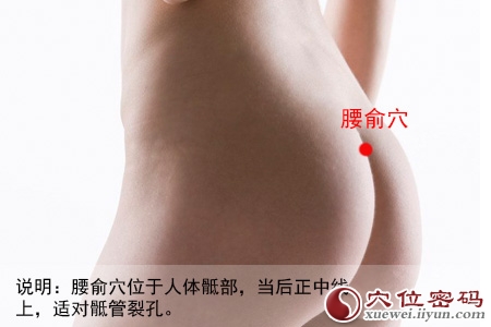 腰俞穴位位置图 腰俞穴位位置图