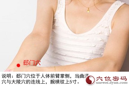 郄门穴位位置图