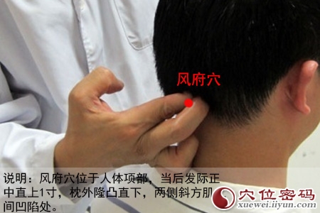 风府穴位位置图 风府穴位位置图