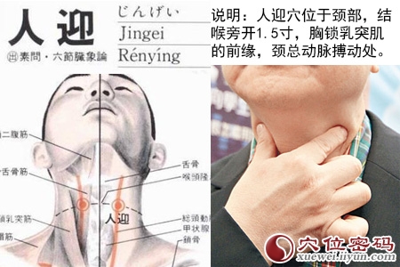 人迎穴位位置图