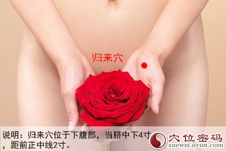  归来穴位位置图