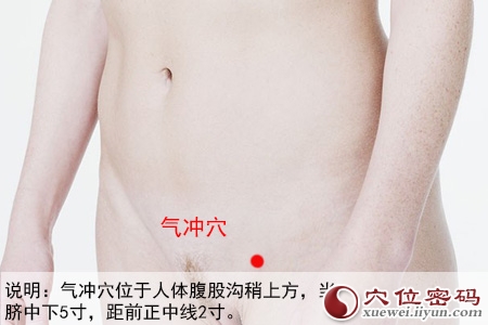 气冲穴位位置图