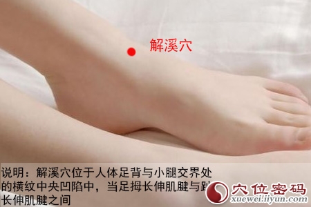 解溪穴位位置图
