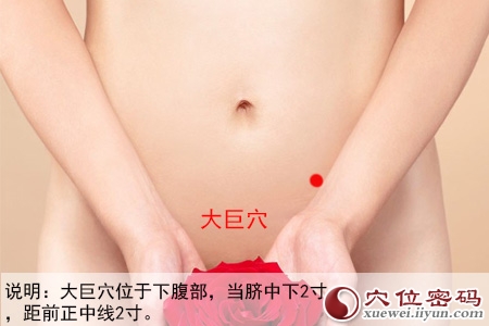 大巨穴位位置图