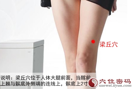 梁丘穴位位置图