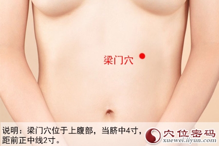 梁门穴位位置图