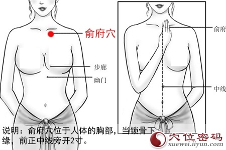 俞府穴的准确位置图