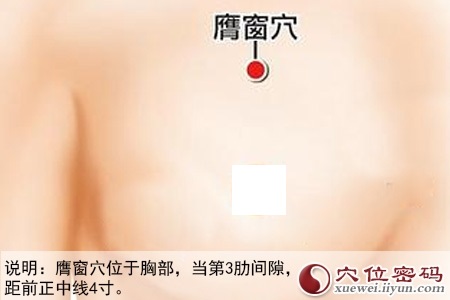 膺窗穴位位置图