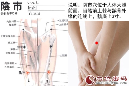 阴市穴位位置图