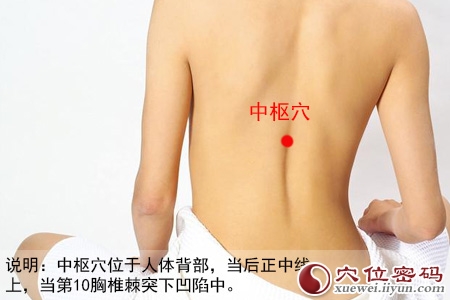 中枢穴位位置图 中枢穴位位置图