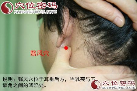 翳风穴位图