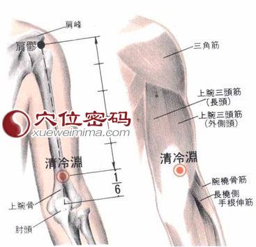 清冷渊穴的位置解剖分析图