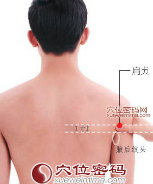 肩贞穴的准确位置图