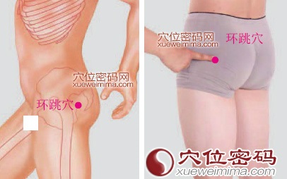 环跳穴的准确位置图 环跳穴的准确位置图