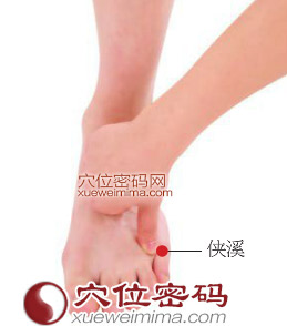 侠溪穴位置图