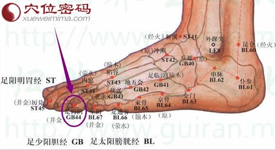 足窍阴穴位图
