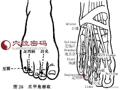 足窍阴穴的准确位置图