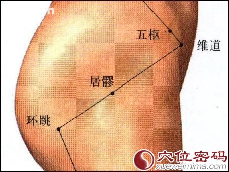 居髎穴的位置图