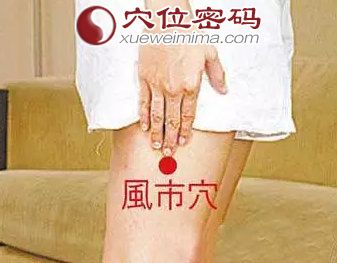 风市穴的准确位置图