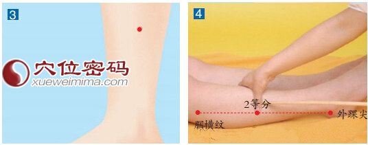 阳交穴的位置图