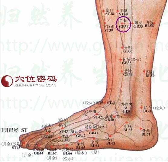 外丘穴的准确位置图